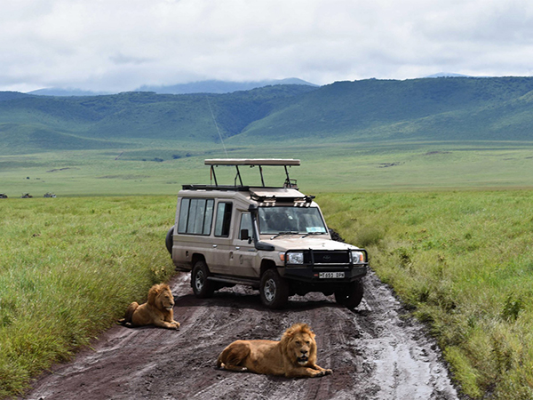 Safari In Kenya | Luxury Kenya Safari | Kenya Safaris 2023/2024